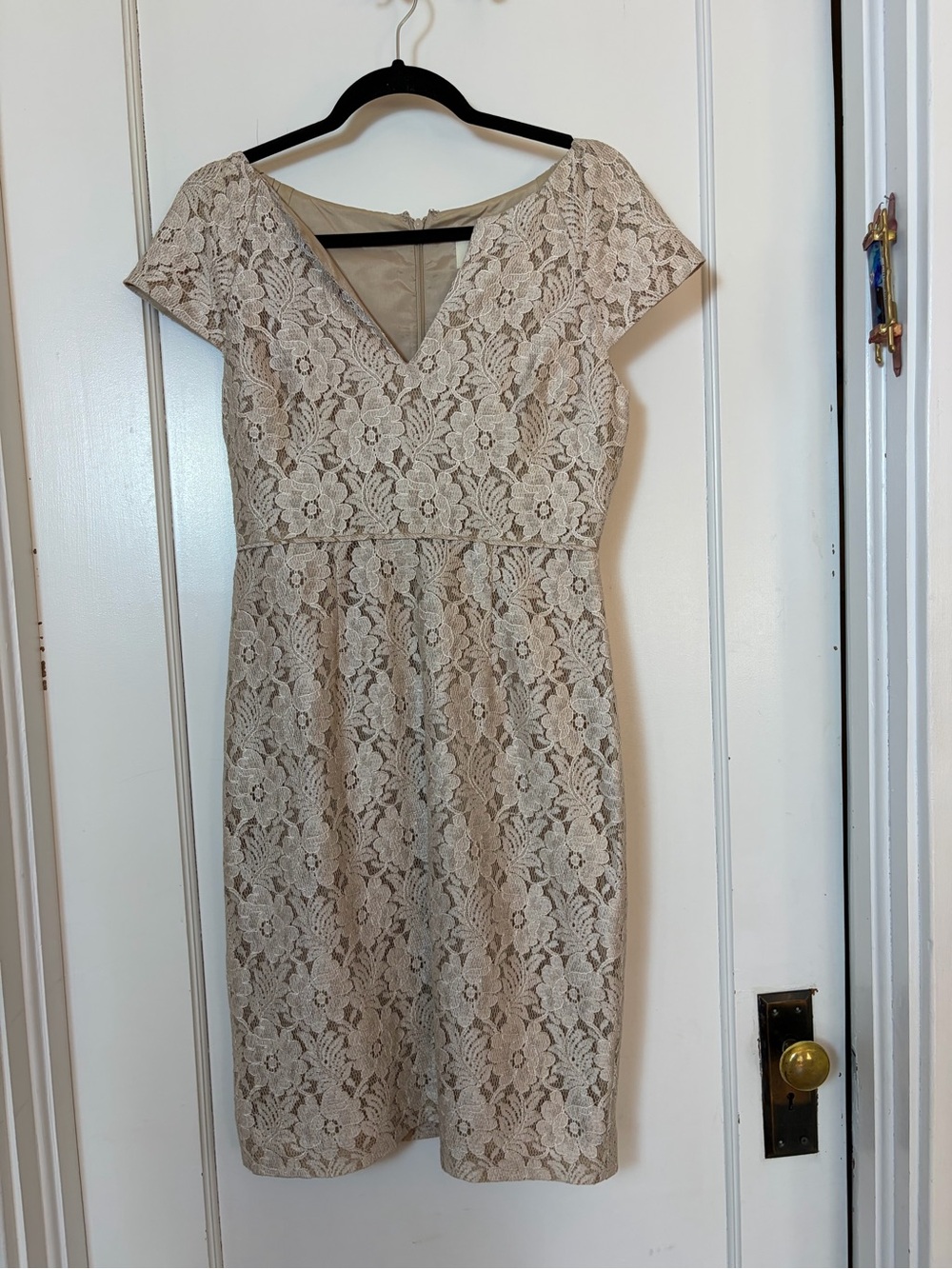 J. Crew Collection Lace V-Neck Dress in Beige